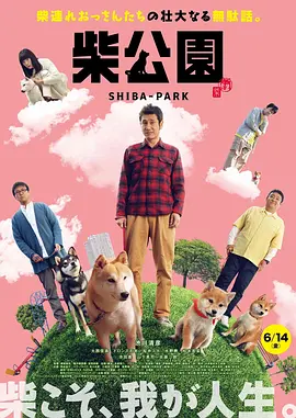 女刑警的调查方法