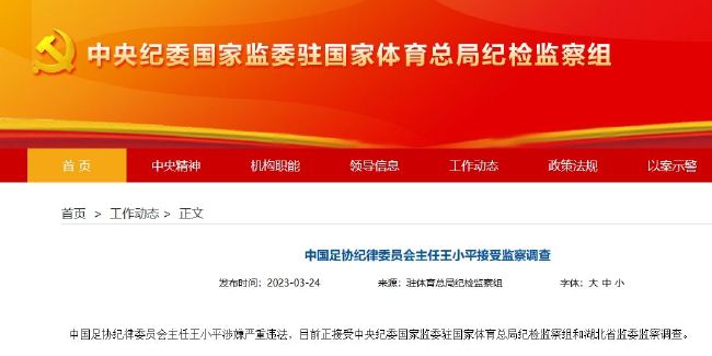 精品久久久久久亚洲精品