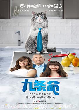 可惜的姑娘