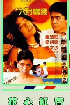 日本五码在线