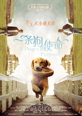 门顶