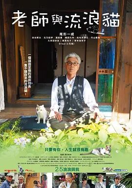 宝宝粉丝服务