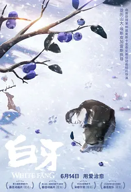 亚洲精品456在线观看