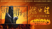 1级a的观看视频