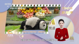 国产精品福利片