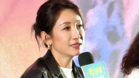 国产成人无精品久久久久国语